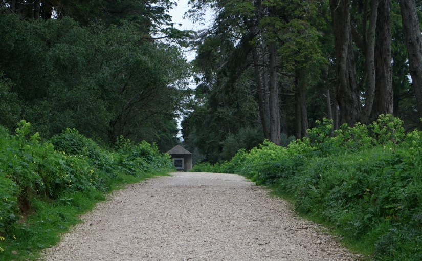 Escapadelas – Parque florestal de Monsanto,&nbsp;Lisboa