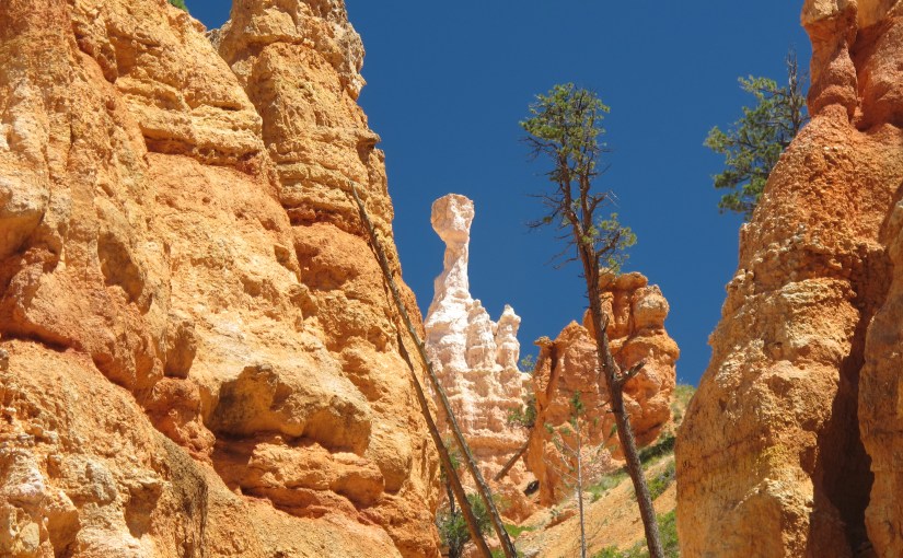 As viagens aos Parques Nacionais nos USA. 2011 Bryce&nbsp;Canyon