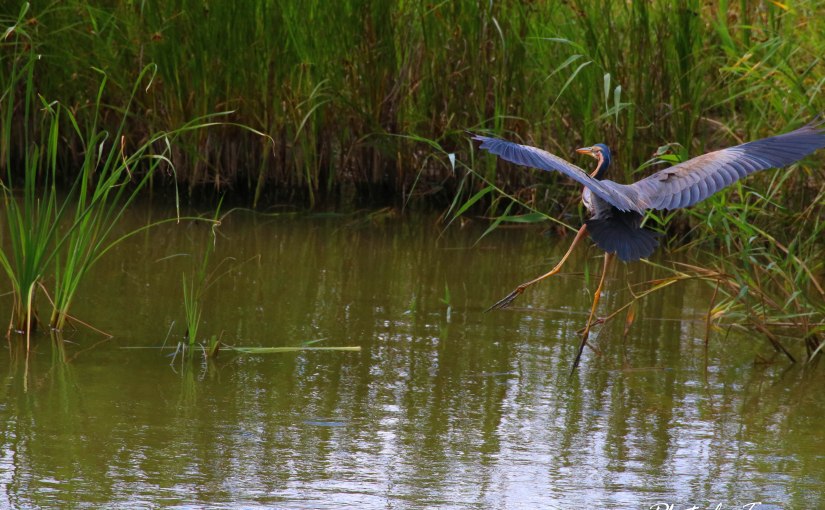 Evoa – Escapadelas