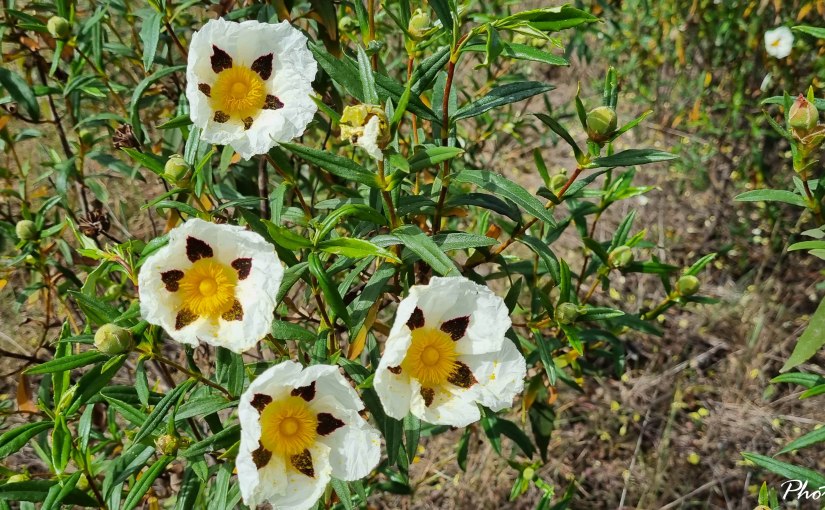 Páscoa 2023 – Alto Alentejo (1ª&nbsp;parte)